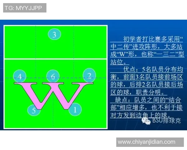 成都排球队反击战术深度解析与实战应用探讨
